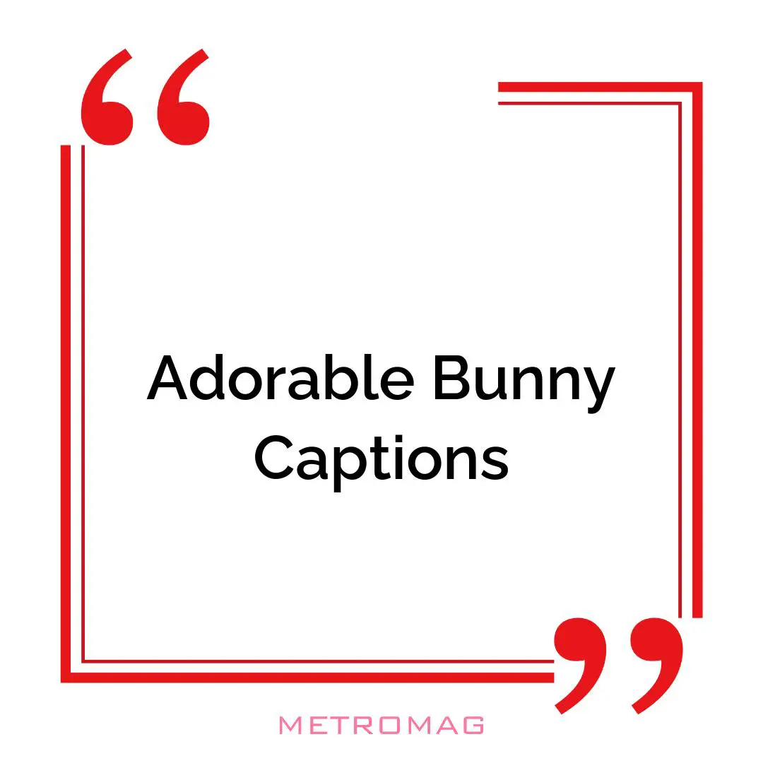 Adorable Bunny Captions