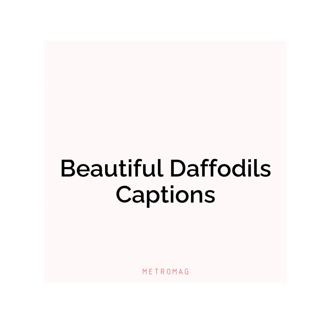Beautiful Daffodils Captions
