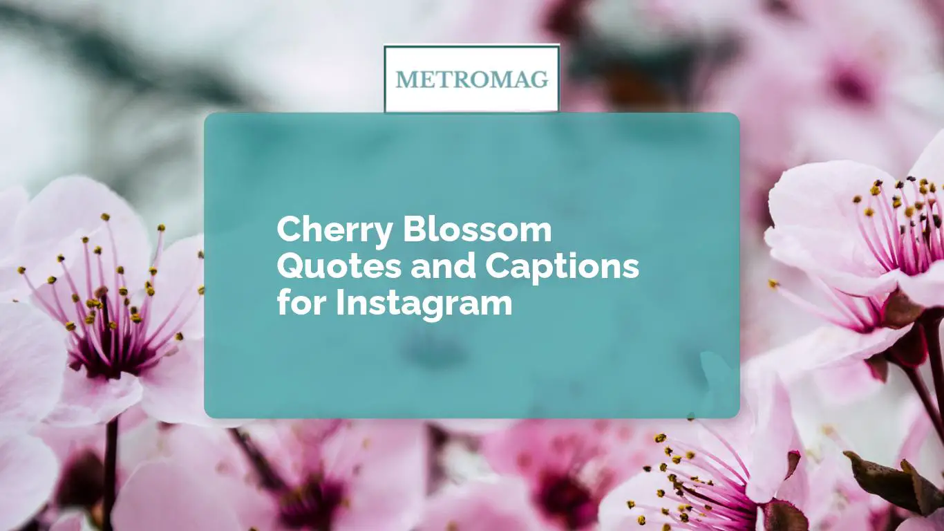 Cherry Blossom Quotes and Captions for Instagram