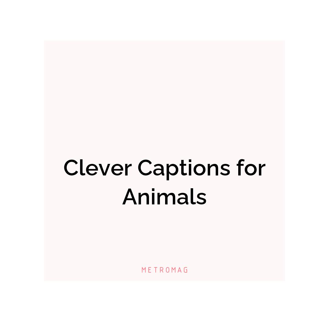 Clever Captions for Animals
