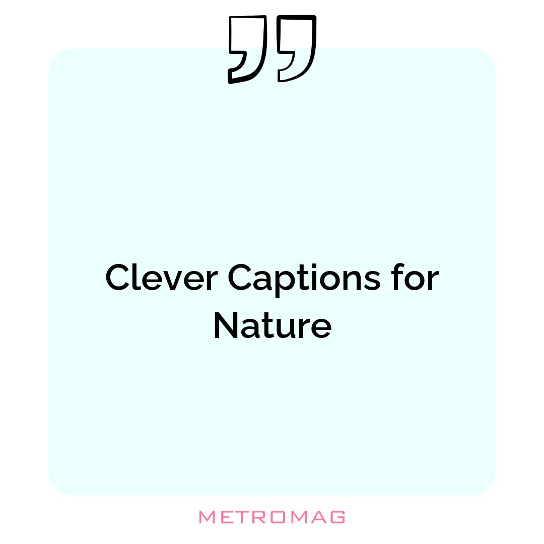 Clever Captions for Nature