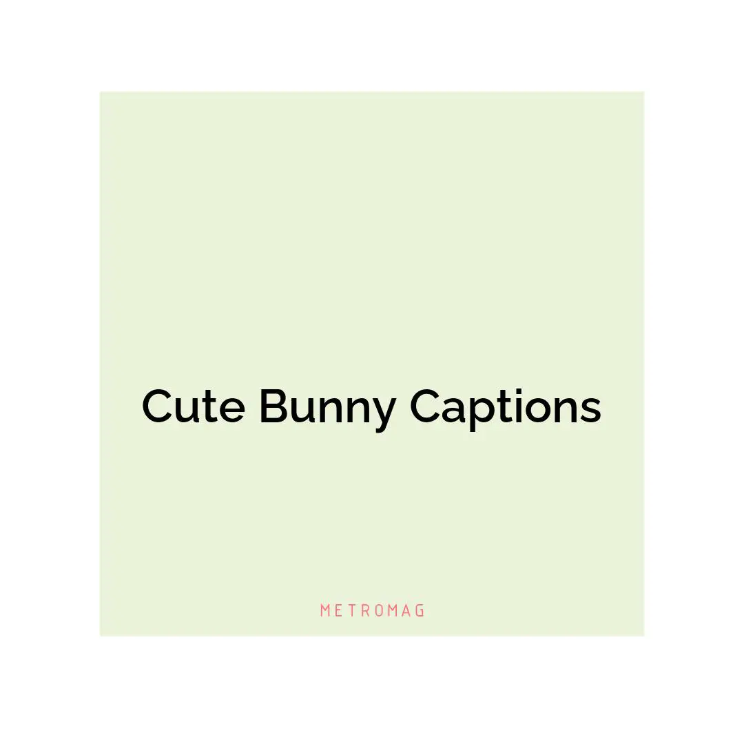 Cute Bunny Captions