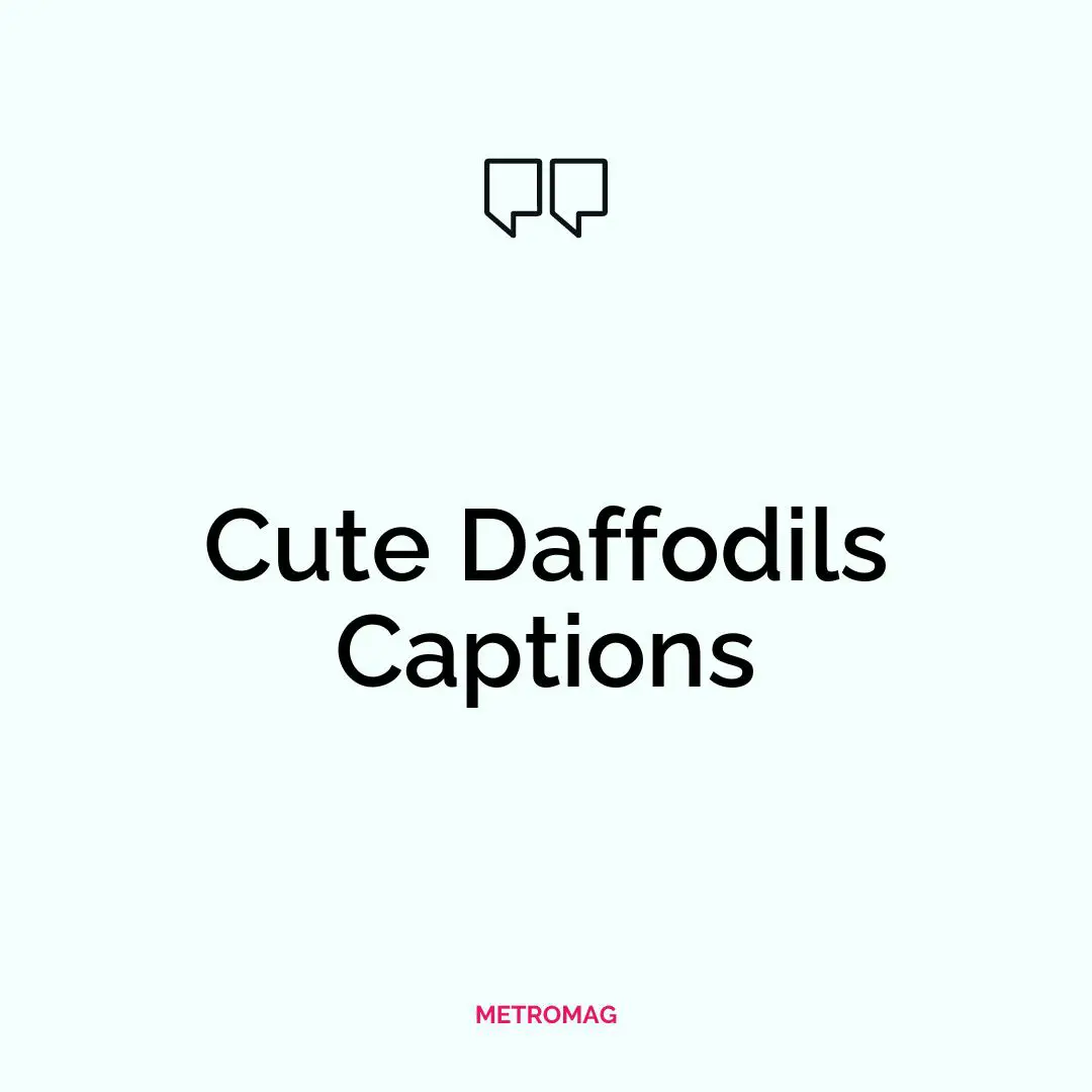 Cute Daffodils Captions