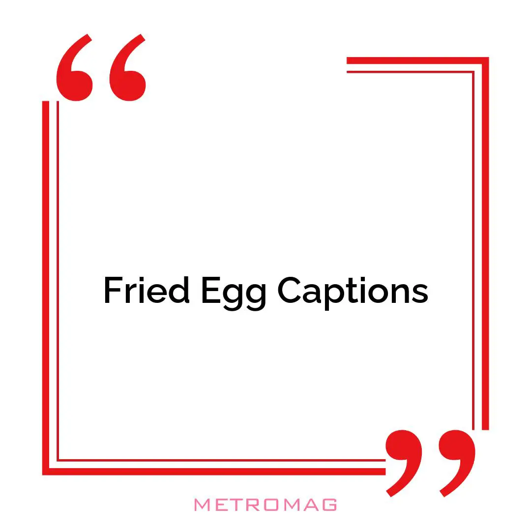 Fried Egg Captions