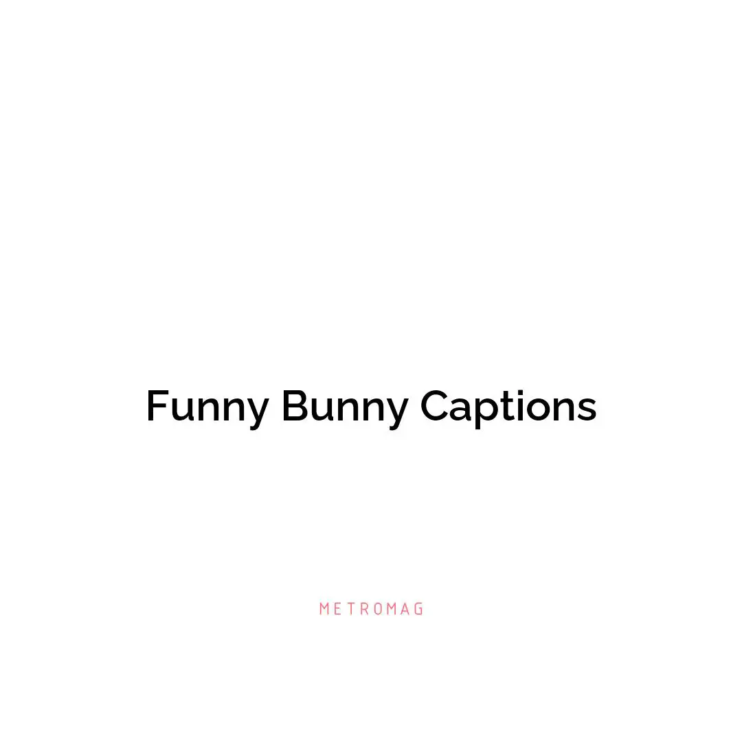 Funny Bunny Captions