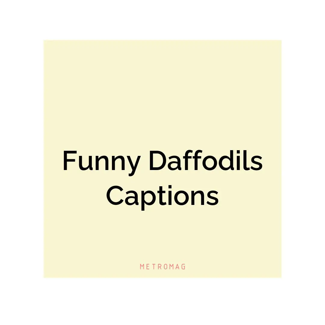Funny Daffodils Captions