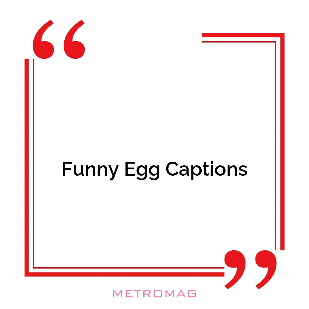 Funny Egg Captions