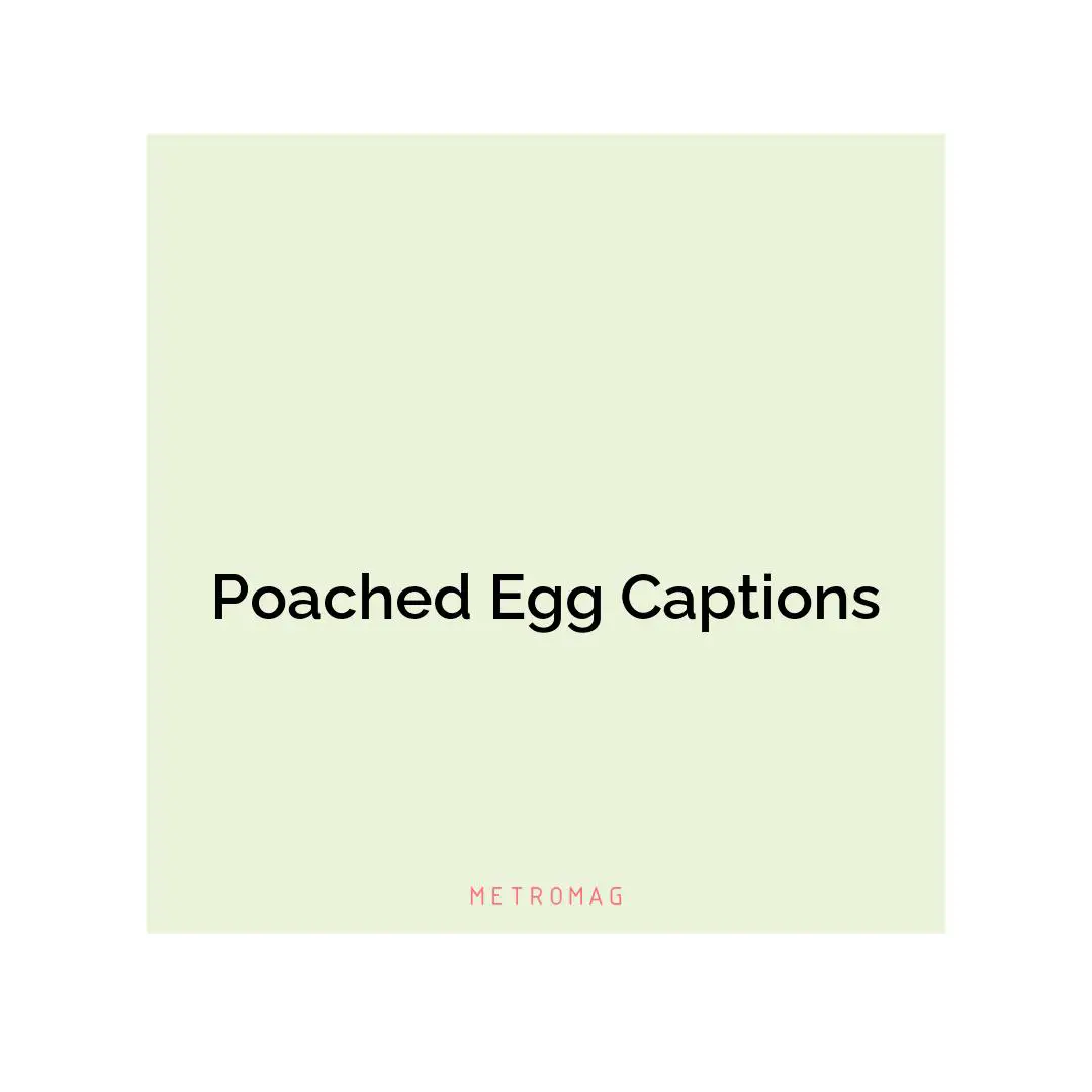 Poached Egg Captions