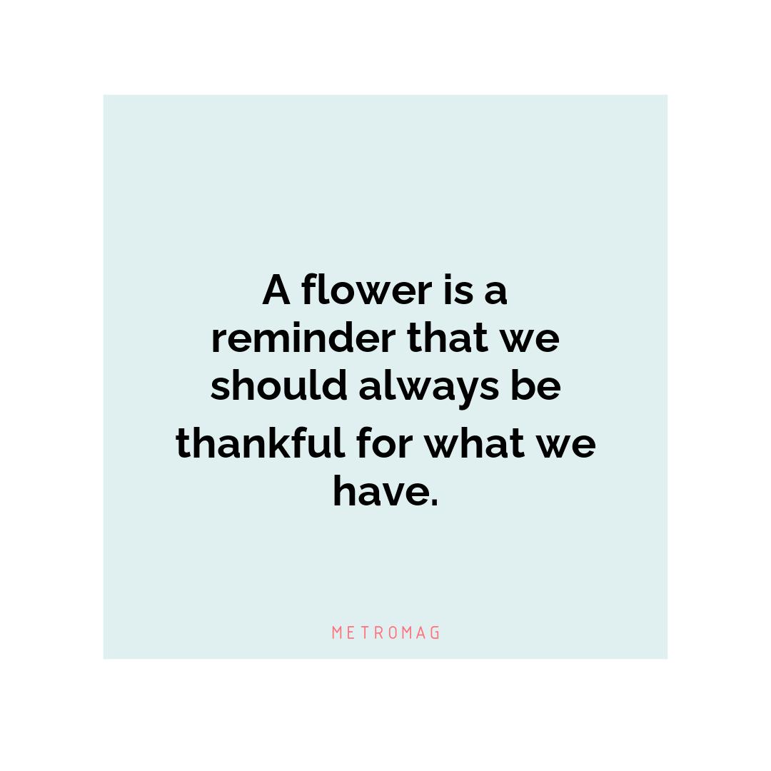 A flower is a reminder that we should always be thankful for what we have. 