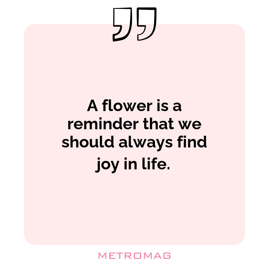 A flower is a reminder that we should always find joy in life. 