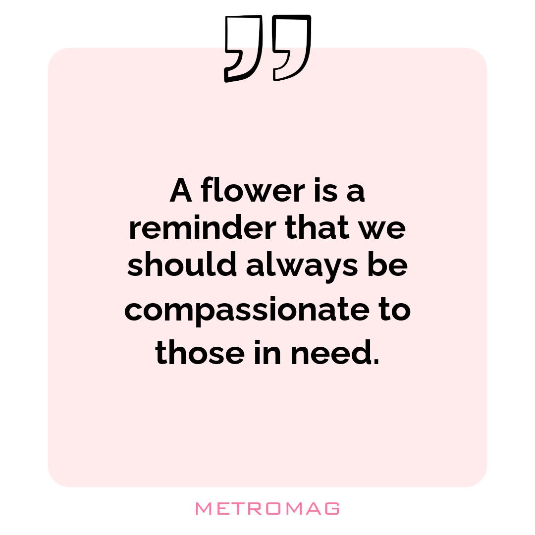 A flower is a reminder that we should always be compassionate to those in need. 