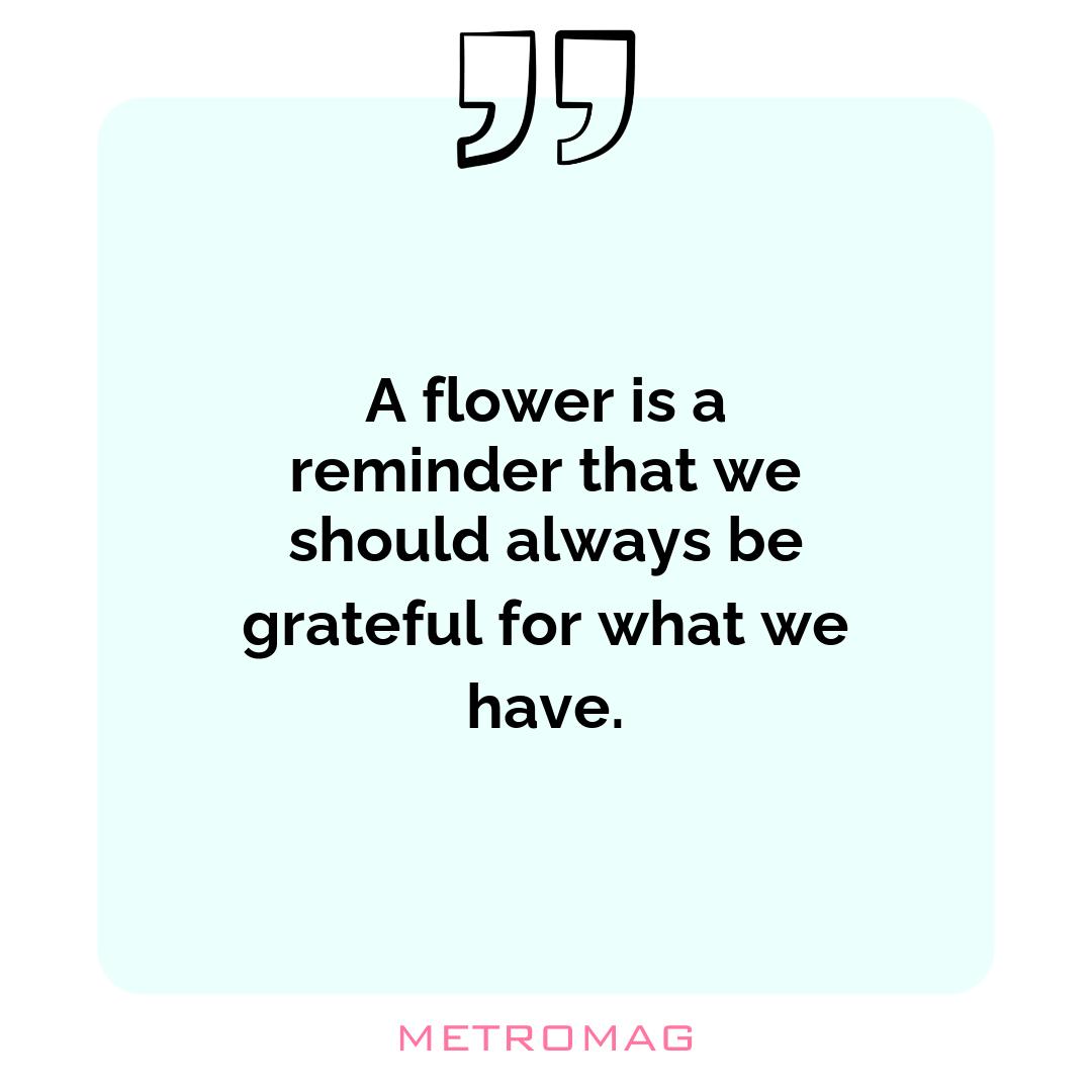 A flower is a reminder that we should always be grateful for what we have. 