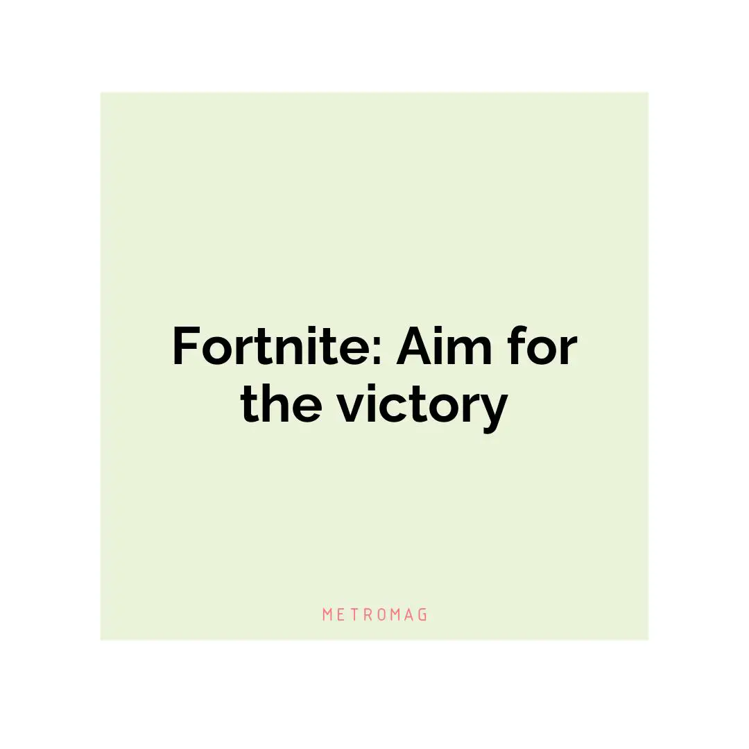 Fortnite: Aim for the victory