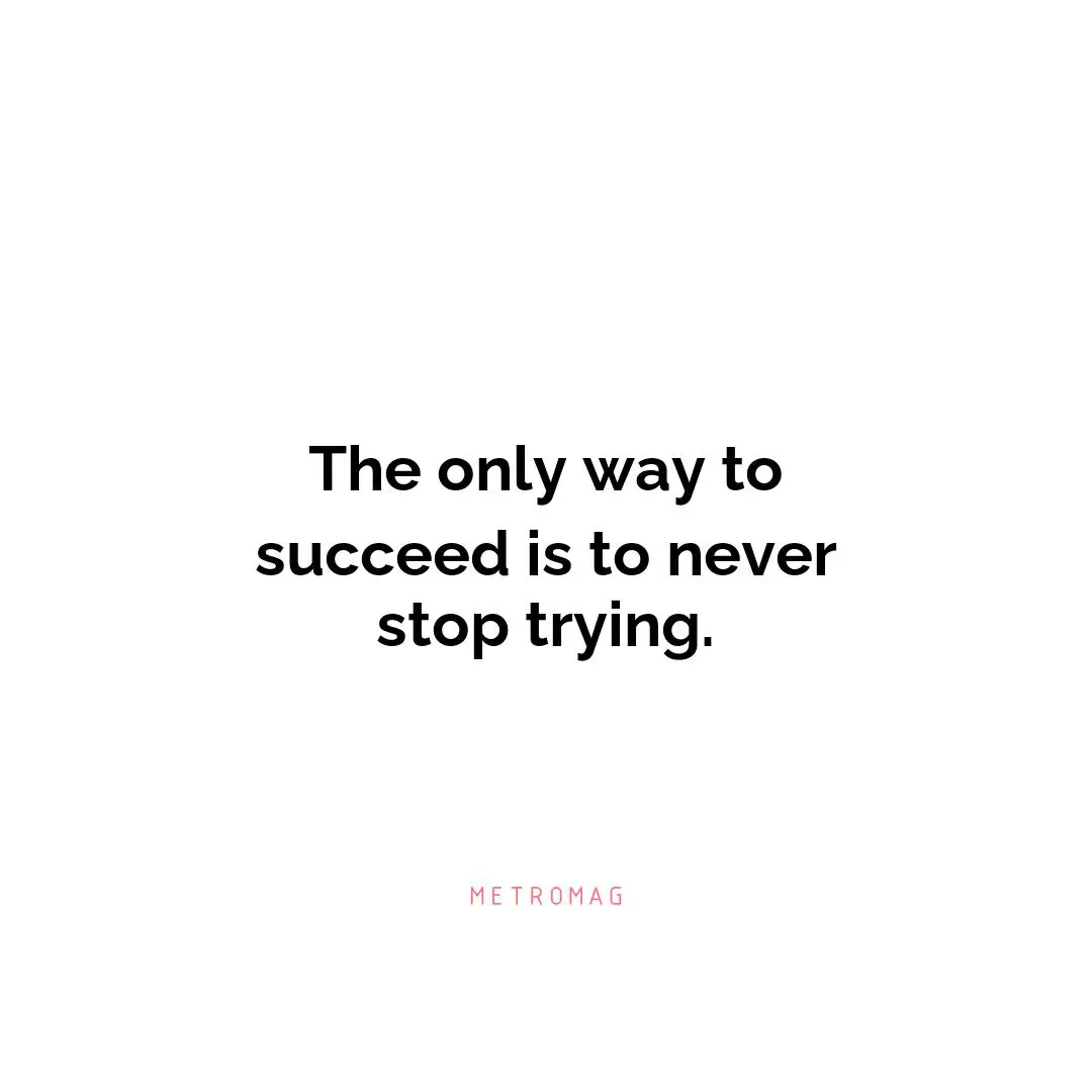 The only way to succeed is to never stop trying.