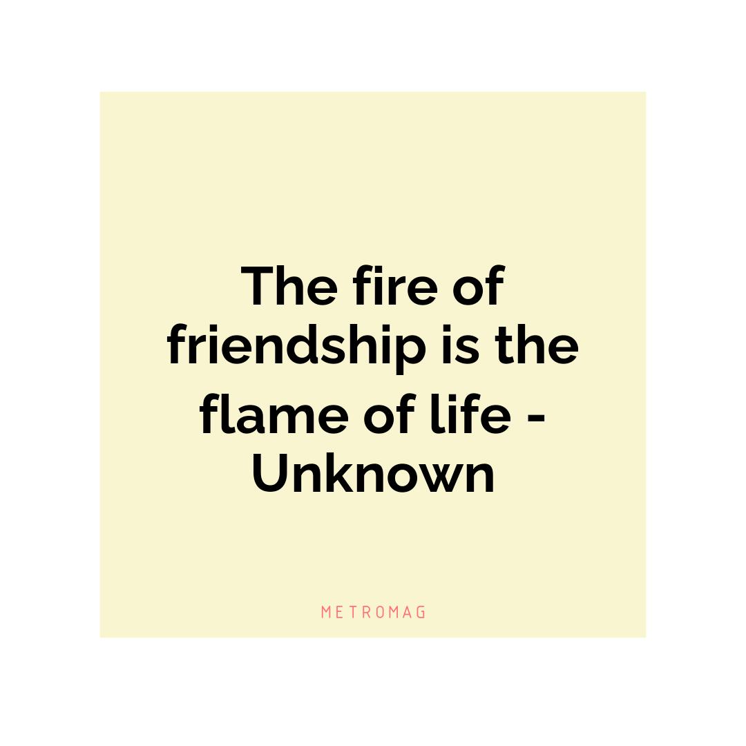 The fire of friendship is the flame of life - Unknown