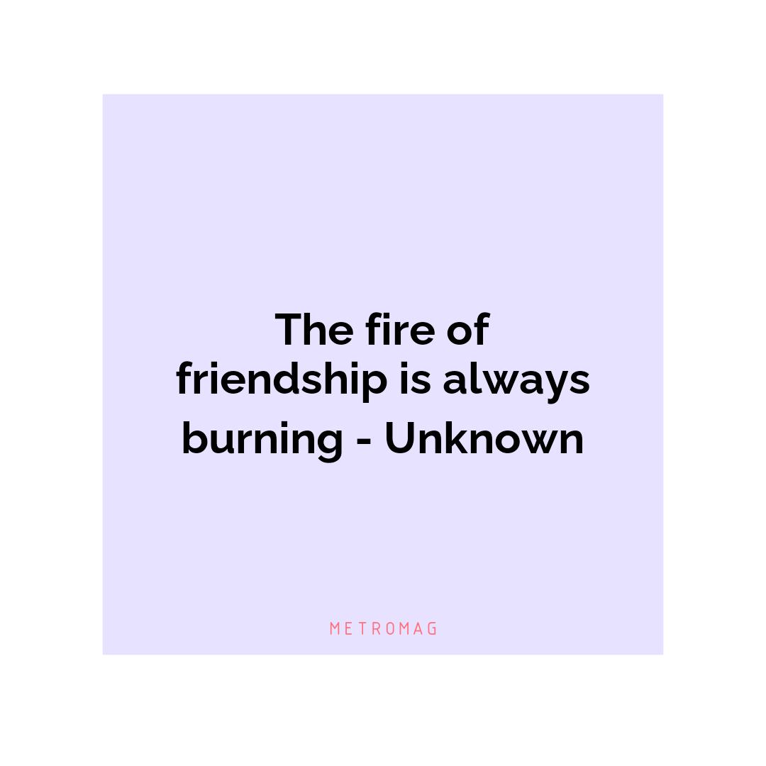 The fire of friendship is always burning - Unknown
