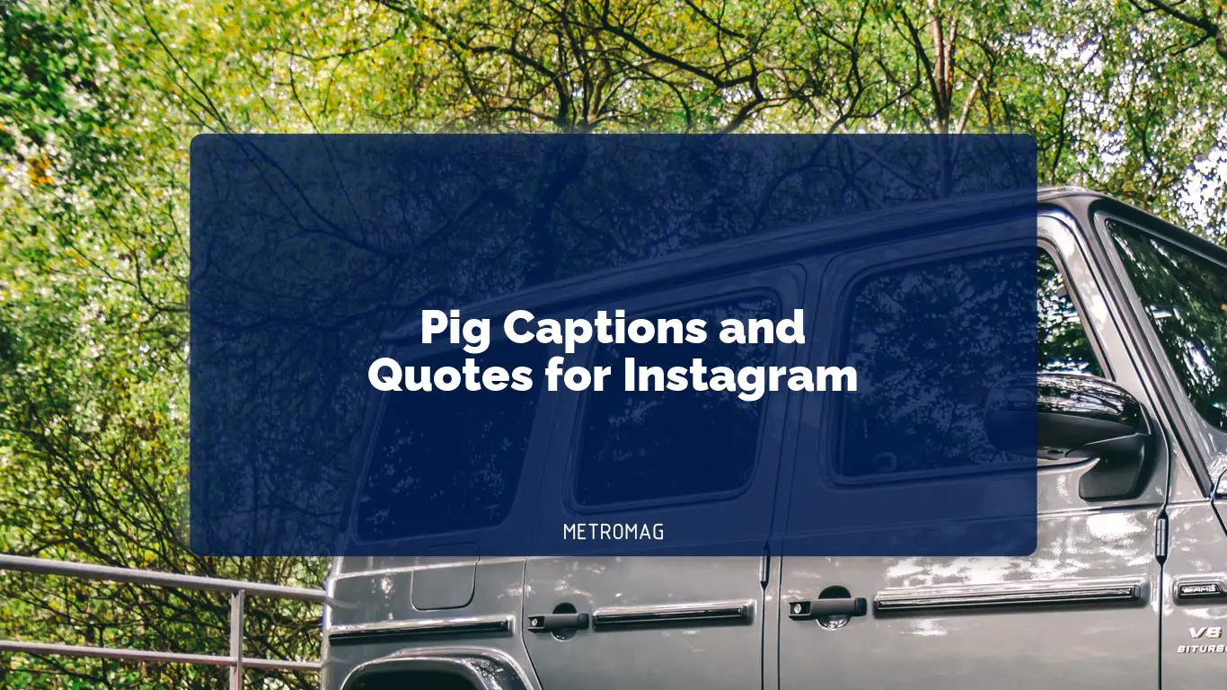 Pig Captions and Quotes for Instagram