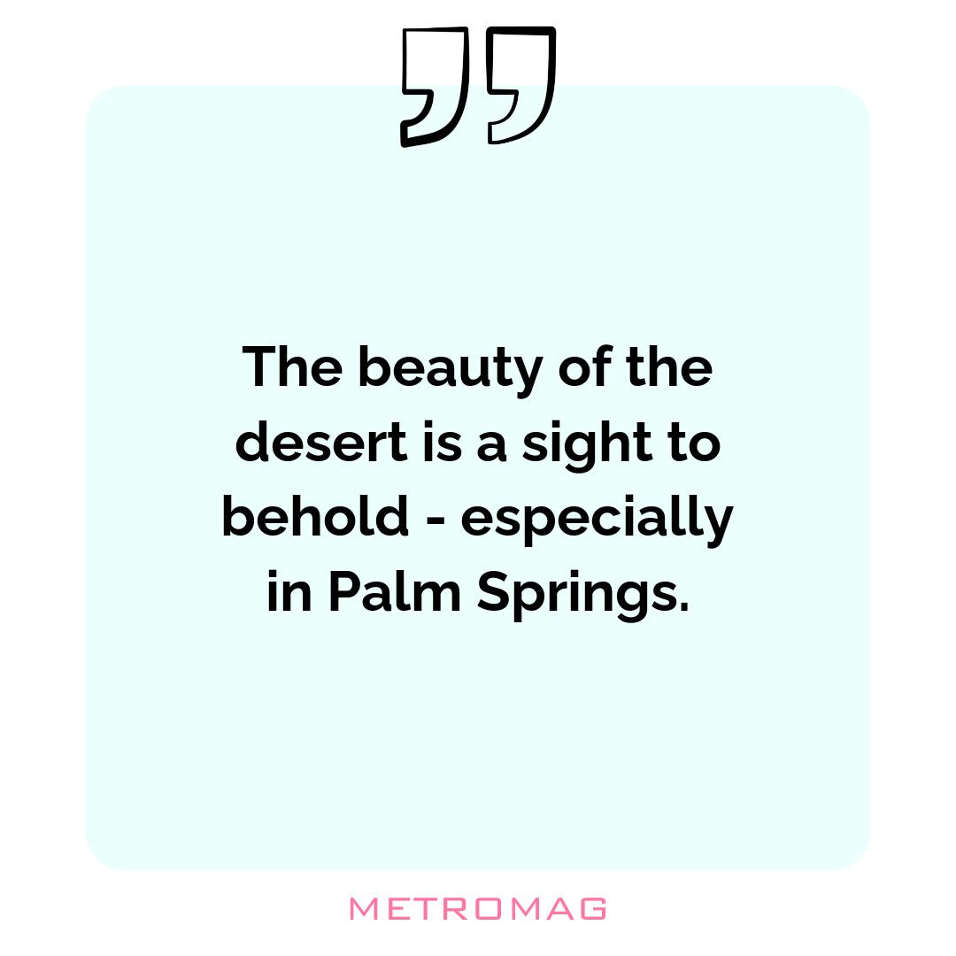 The beauty of the desert is a sight to behold - especially in Palm Springs.