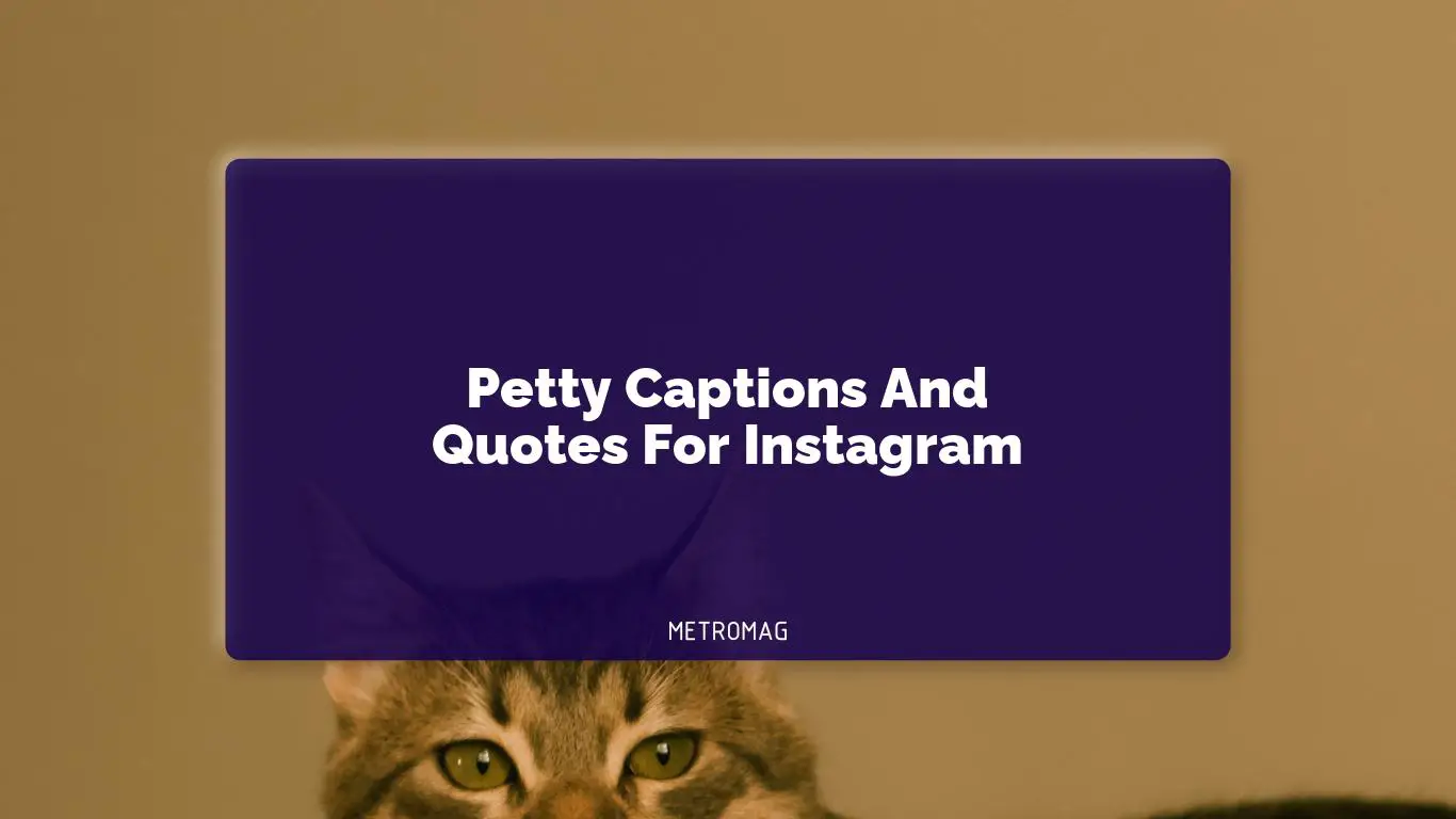 Petty Captions And Quotes For Instagram
