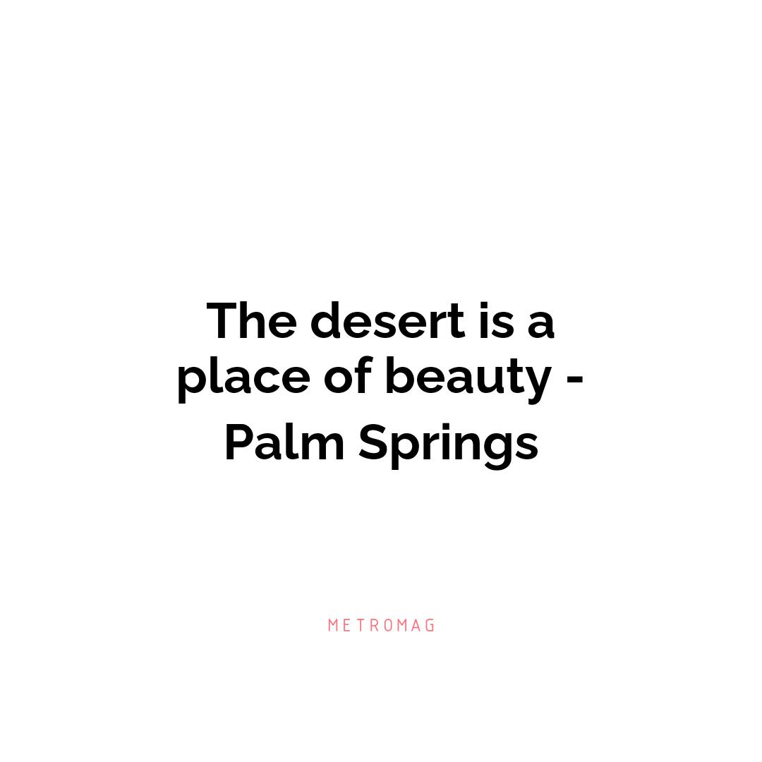 The desert is a place of beauty - Palm Springs