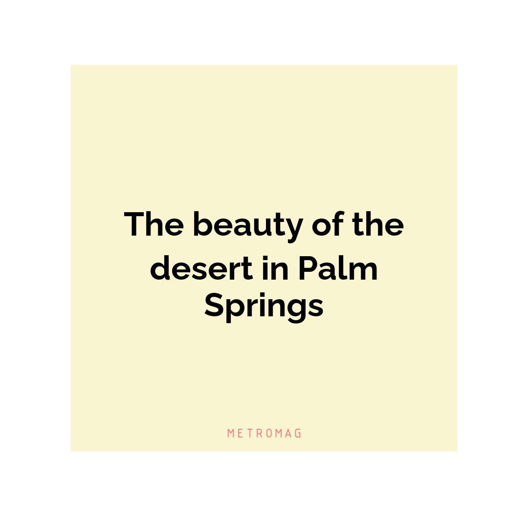 The beauty of the desert in Palm Springs