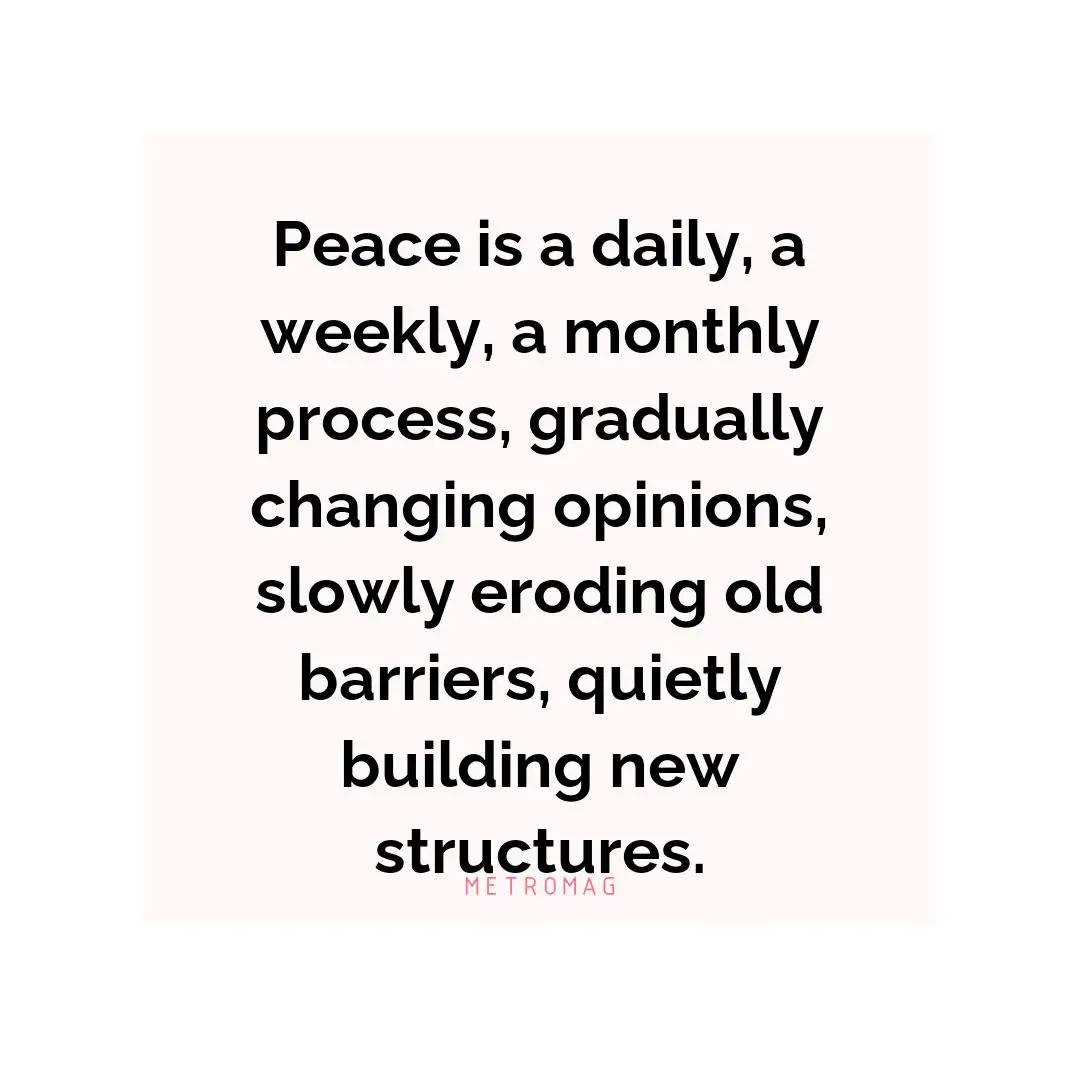 Peace is a daily, a weekly, a monthly process, gradually changing opinions, slowly eroding old barriers, quietly building new structures.