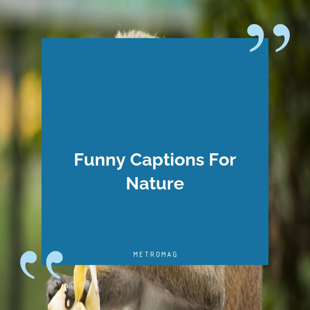 Funny Captions For Nature