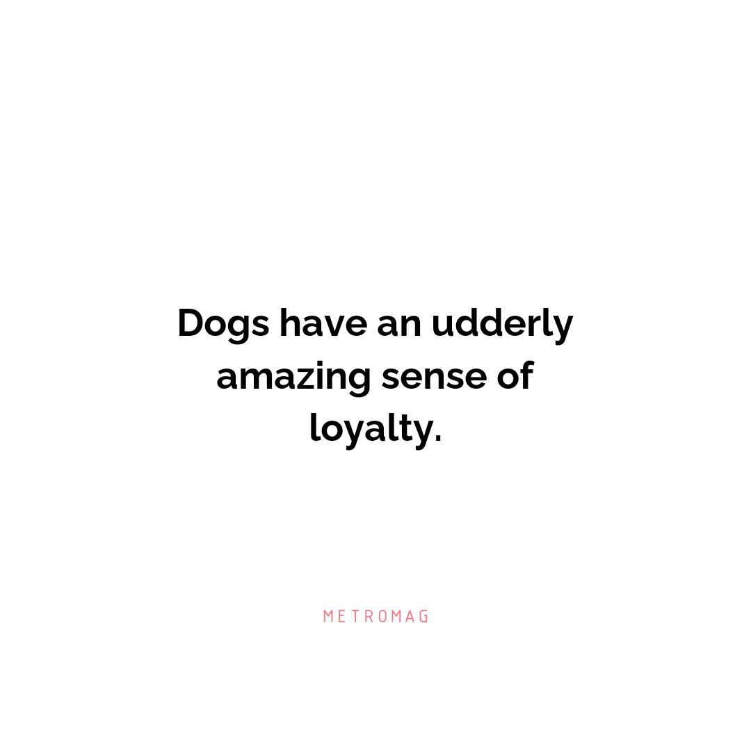 Dogs have an udderly amazing sense of loyalty.