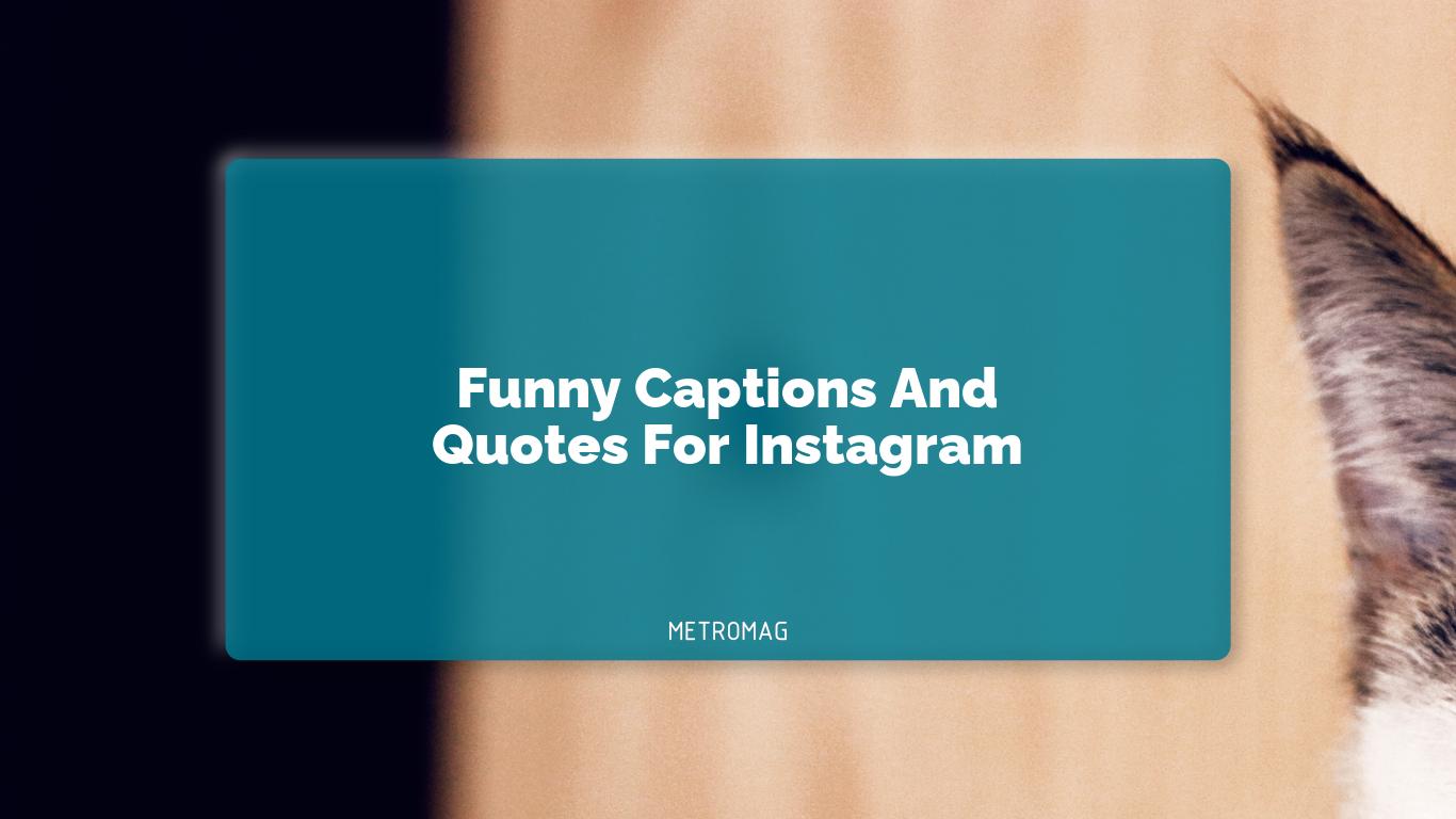 Funny Captions And Quotes For Instagram