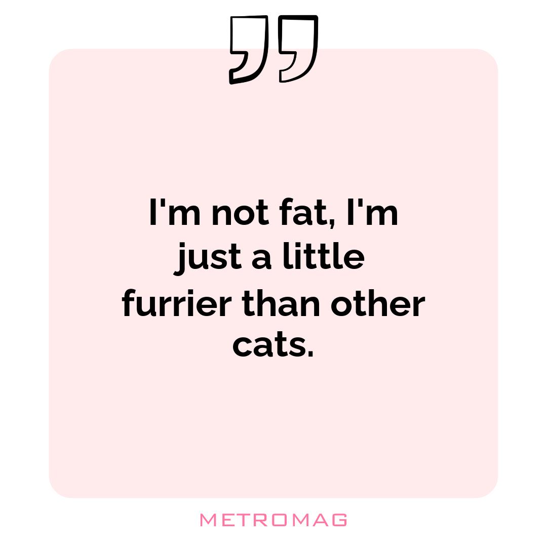 I'm not fat, I'm just a little furrier than other cats.