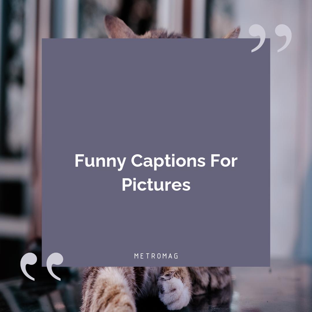 Funny Captions For Pictures