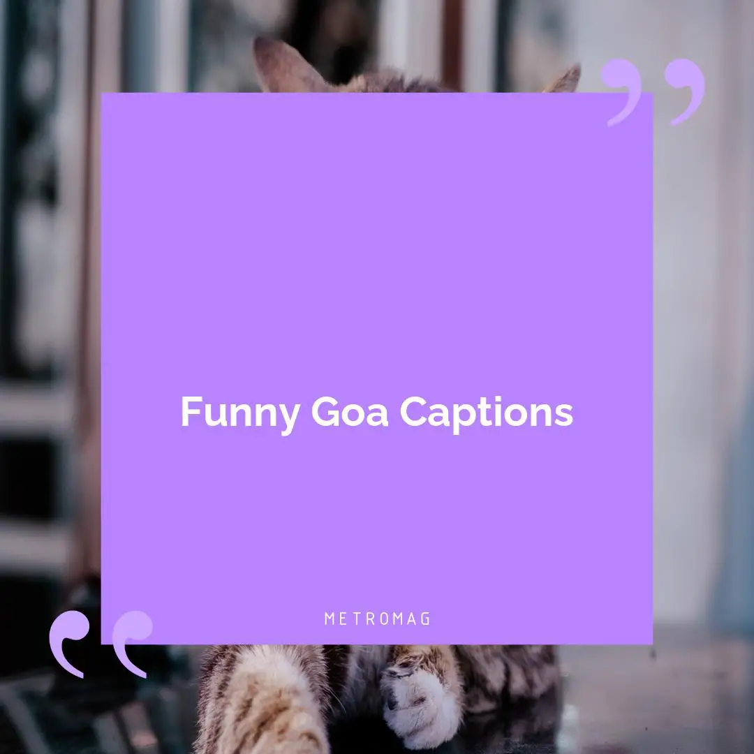 Funny Goa Captions