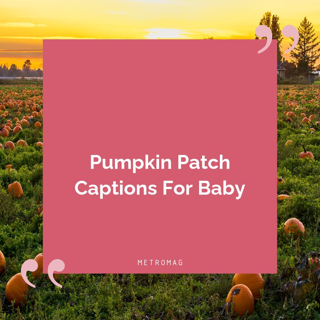 Pumpkin Patch Captions For Baby