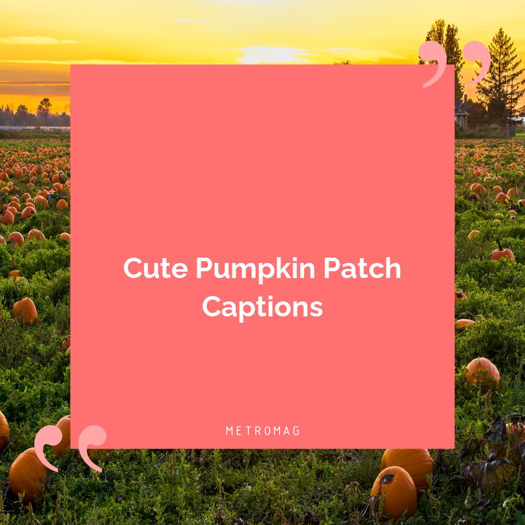 Cute Pumpkin Patch Captions