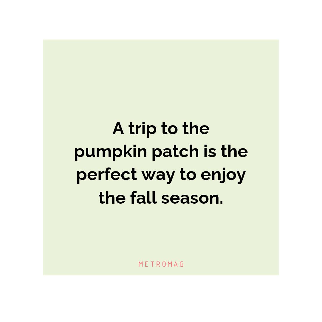 A trip to the pumpkin patch is the perfect way to enjoy the fall season.