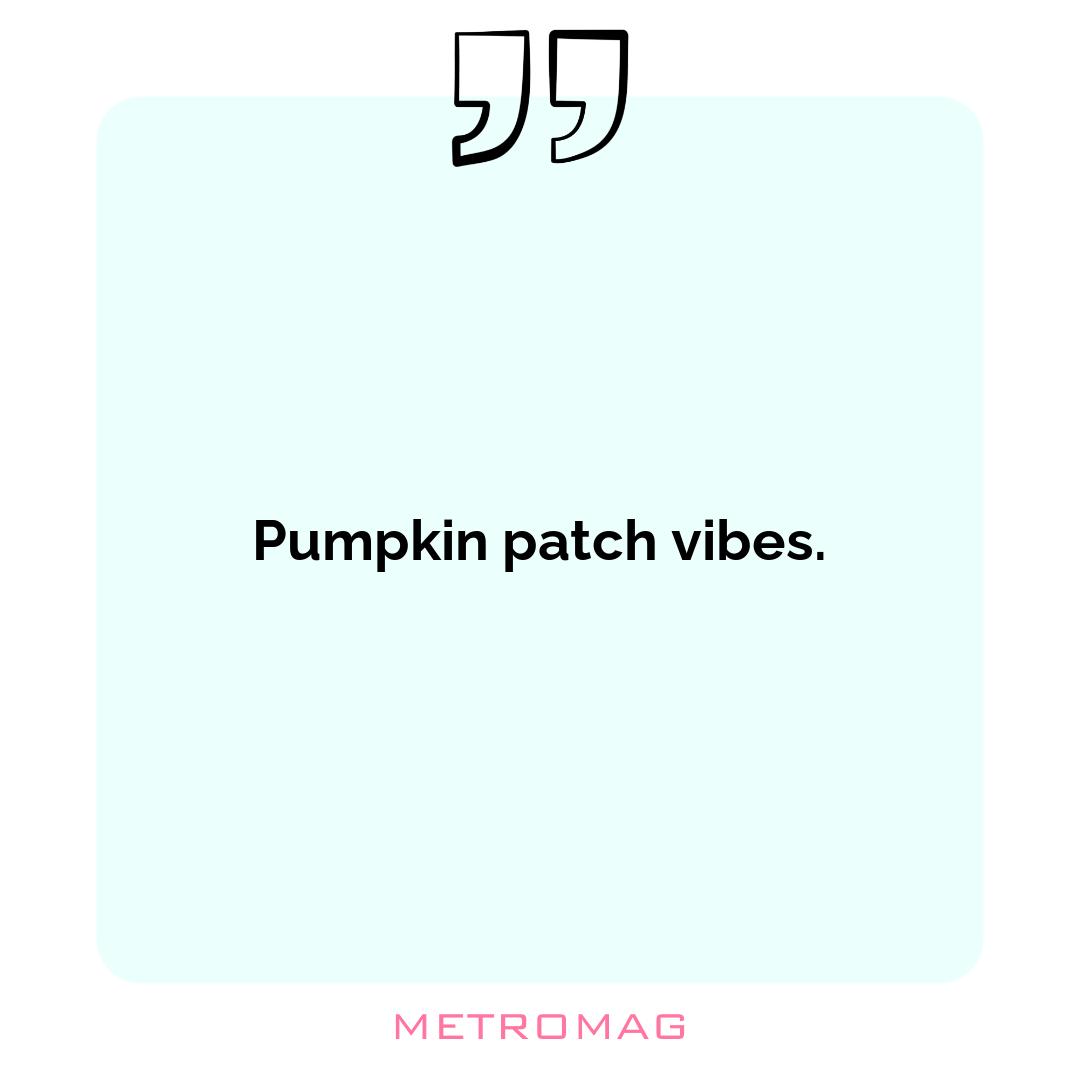 Pumpkin patch vibes.