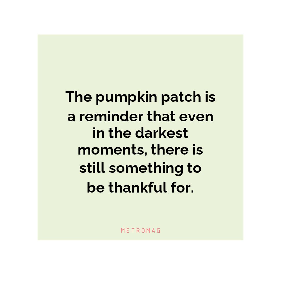 The pumpkin patch is a reminder that even in the darkest moments, there is still something to be thankful for.