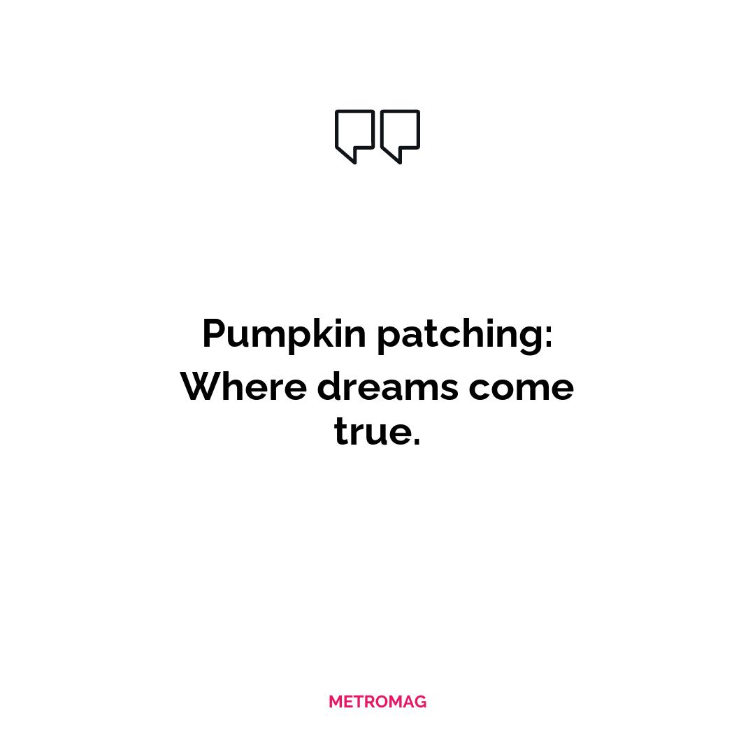 Pumpkin patching: Where dreams come true.