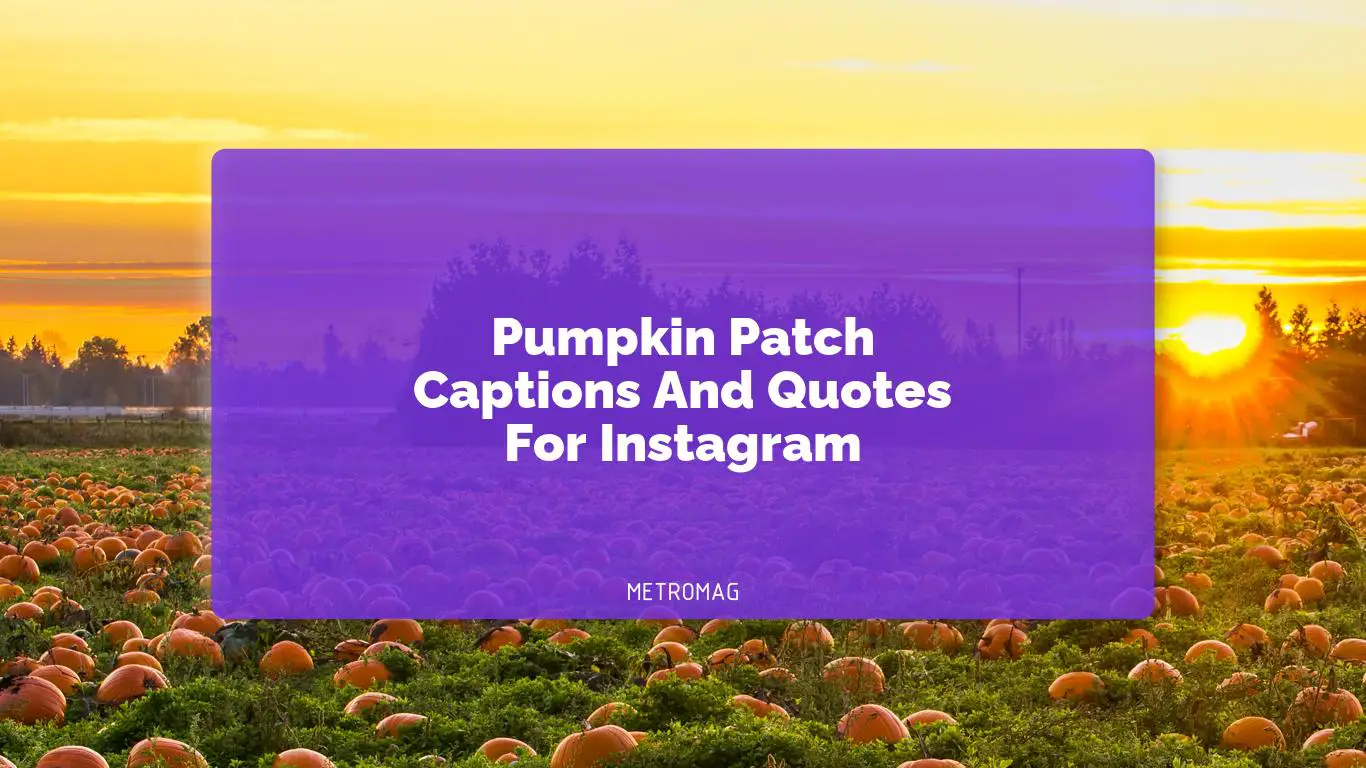 Pumpkin Patch Captions And Quotes For Instagram