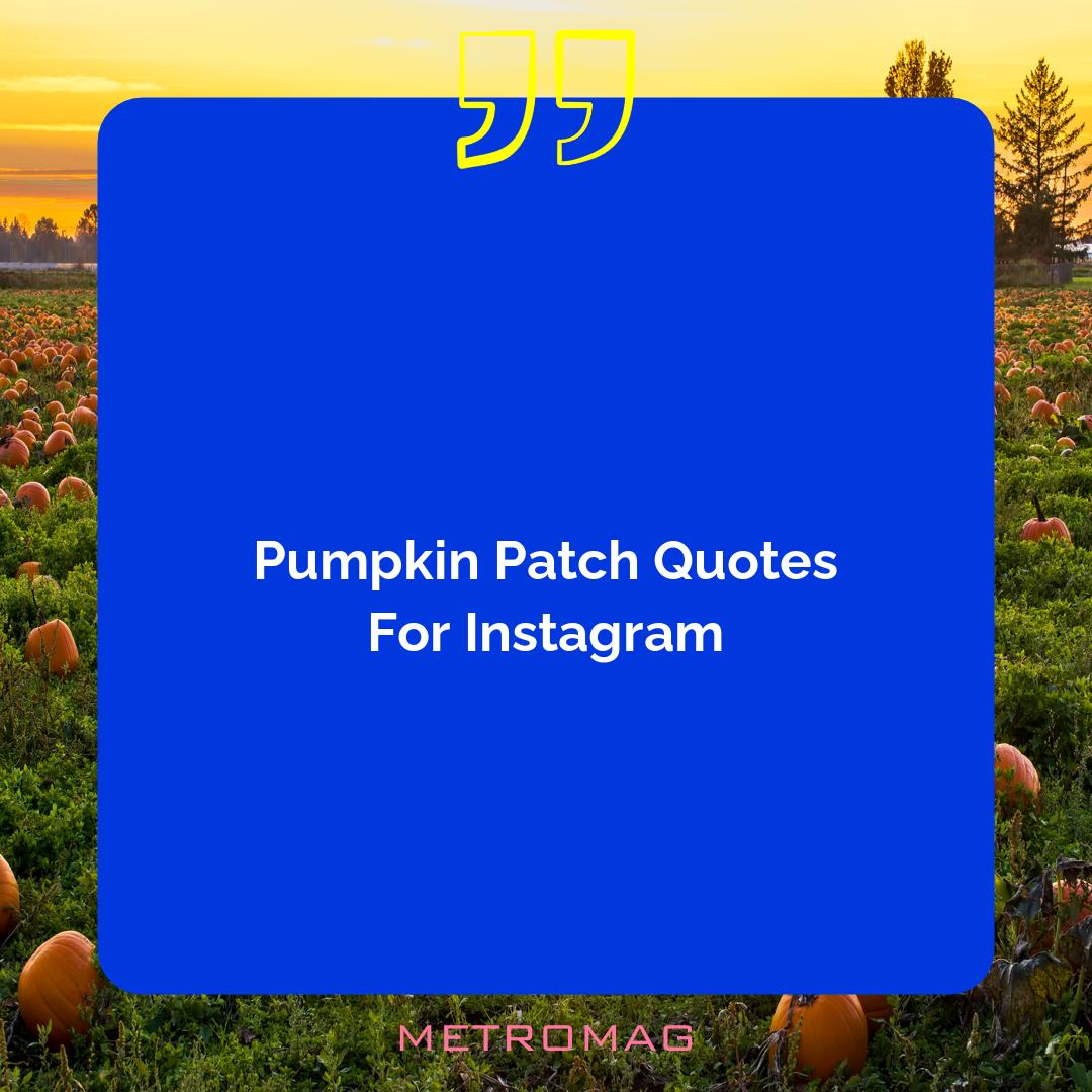 Pumpkin Patch Quotes For Instagram