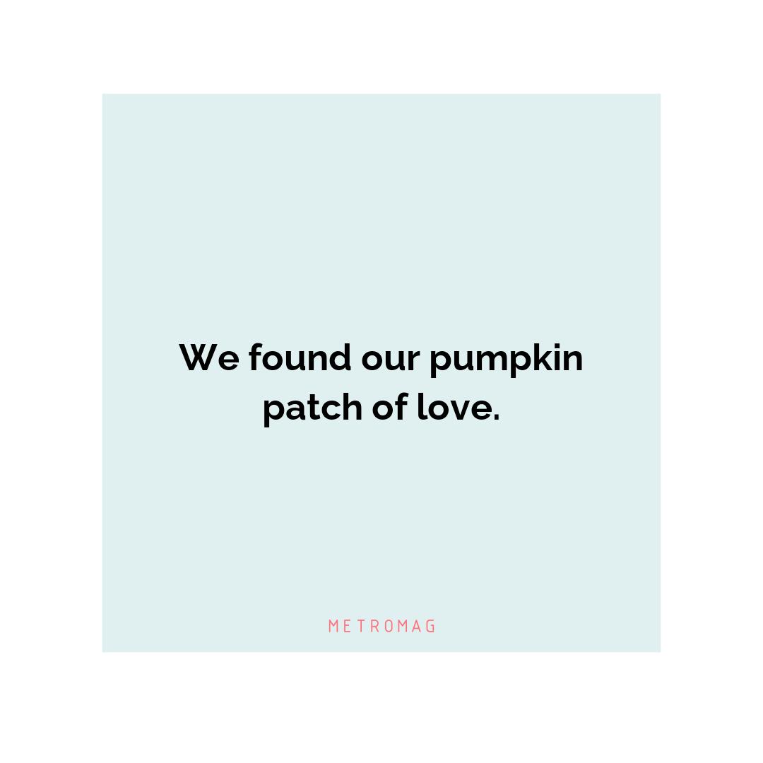 We found our pumpkin patch of love.