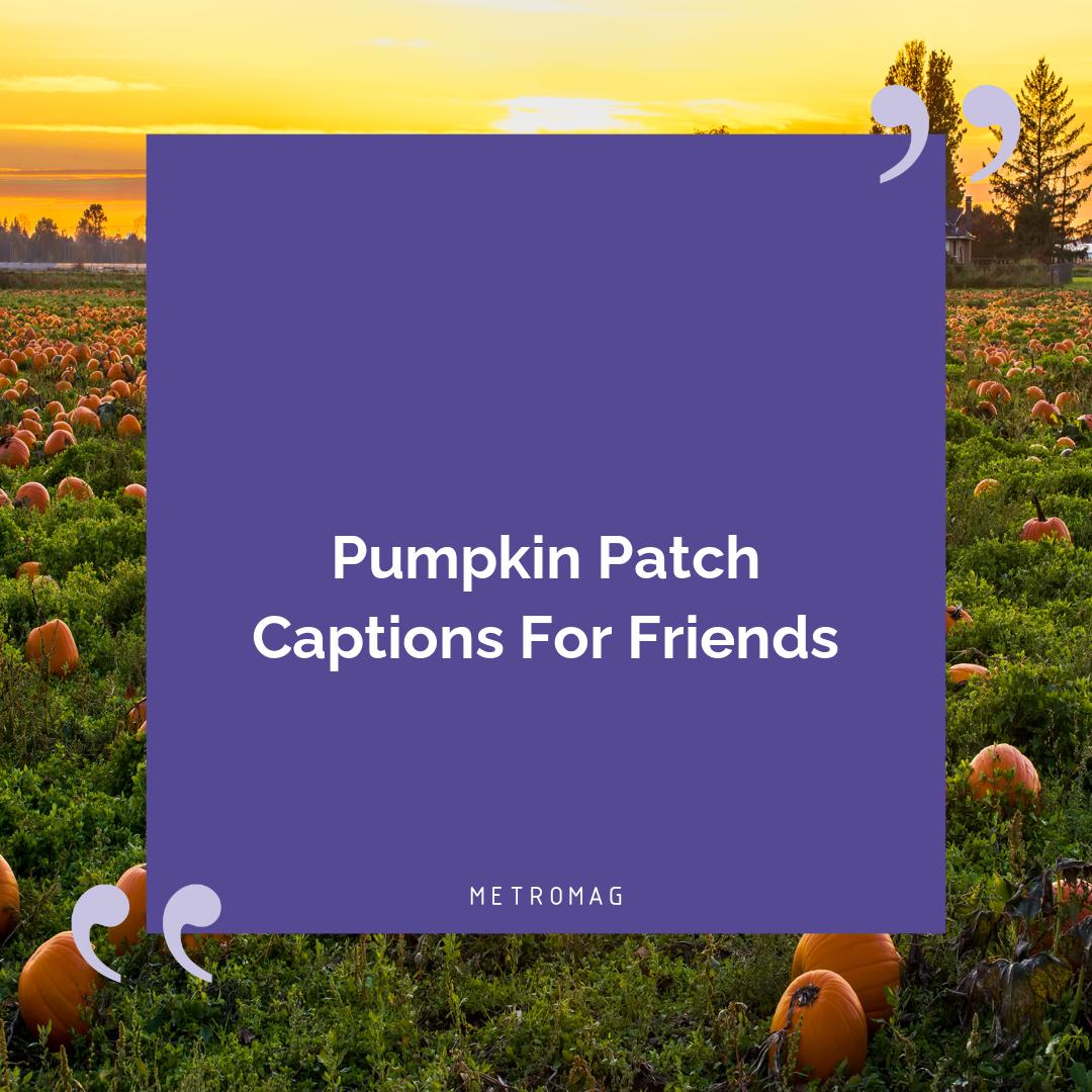 Pumpkin Patch Captions For Friends