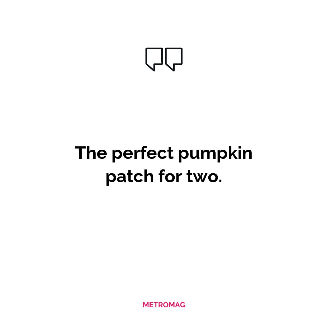 The perfect pumpkin patch for two.