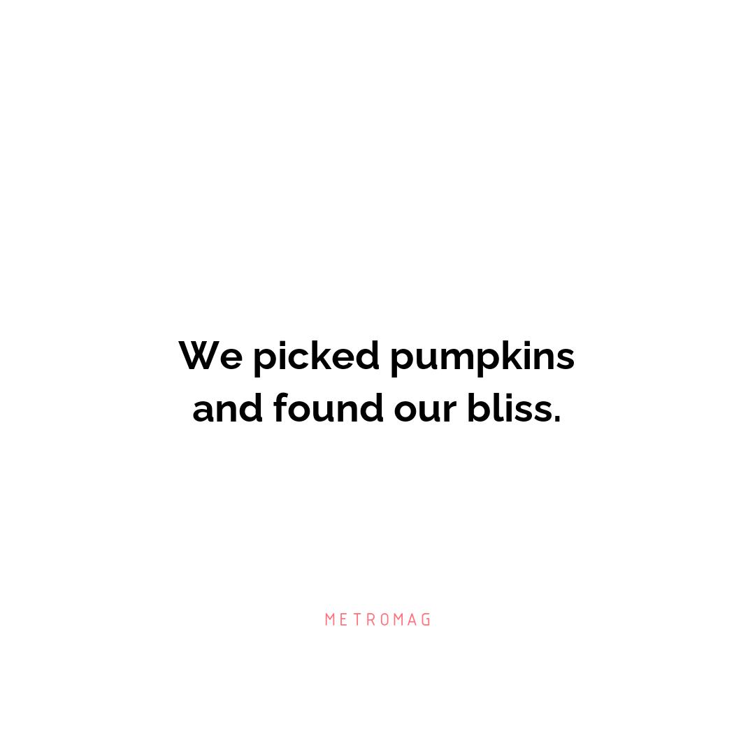 We picked pumpkins and found our bliss.