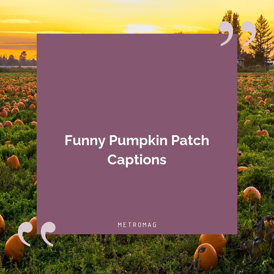 Funny Pumpkin Patch Captions