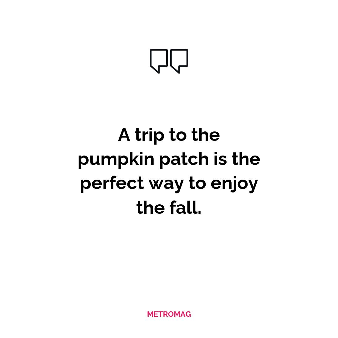 A trip to the pumpkin patch is the perfect way to enjoy the fall.
