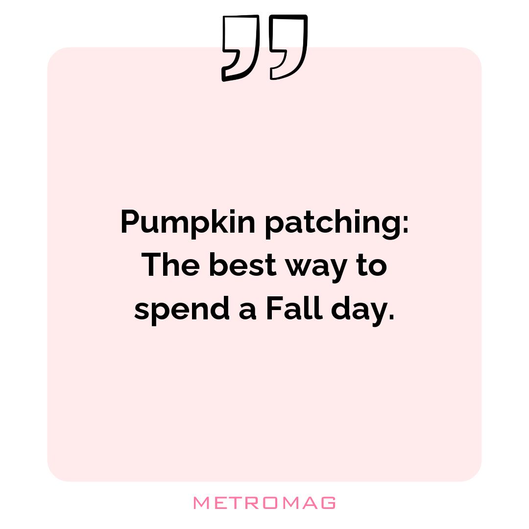 Pumpkin patching: The best way to spend a Fall day.