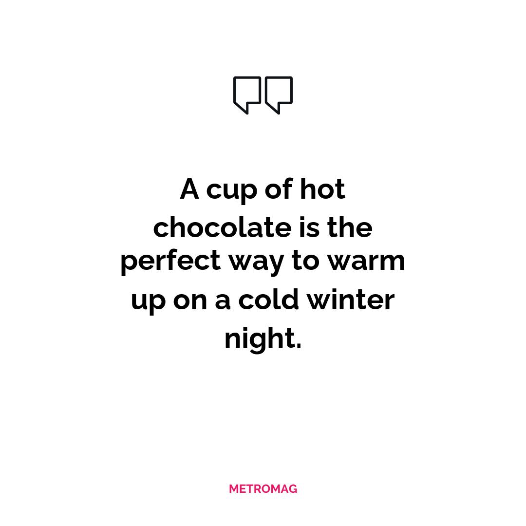 A cup of hot chocolate is the perfect way to warm up on a cold winter night.