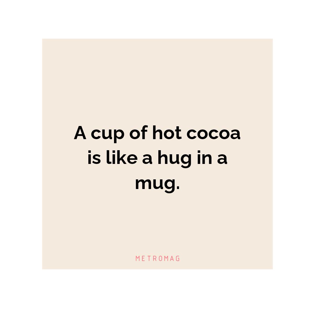 A cup of hot cocoa is like a hug in a mug.