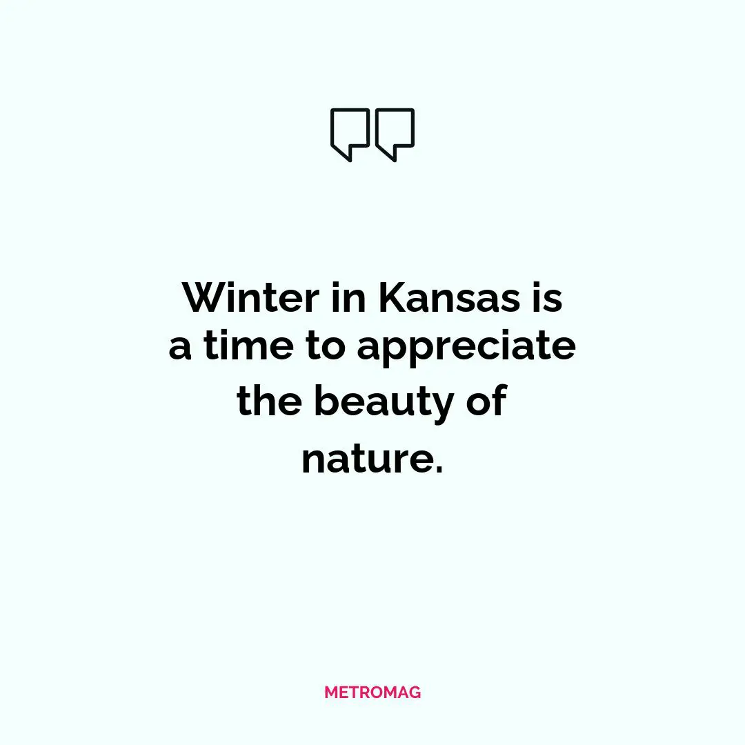 Winter in Kansas is a time to appreciate the beauty of nature.